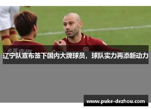 辽宁队宣布签下国内大牌球员，球队实力再添新动力